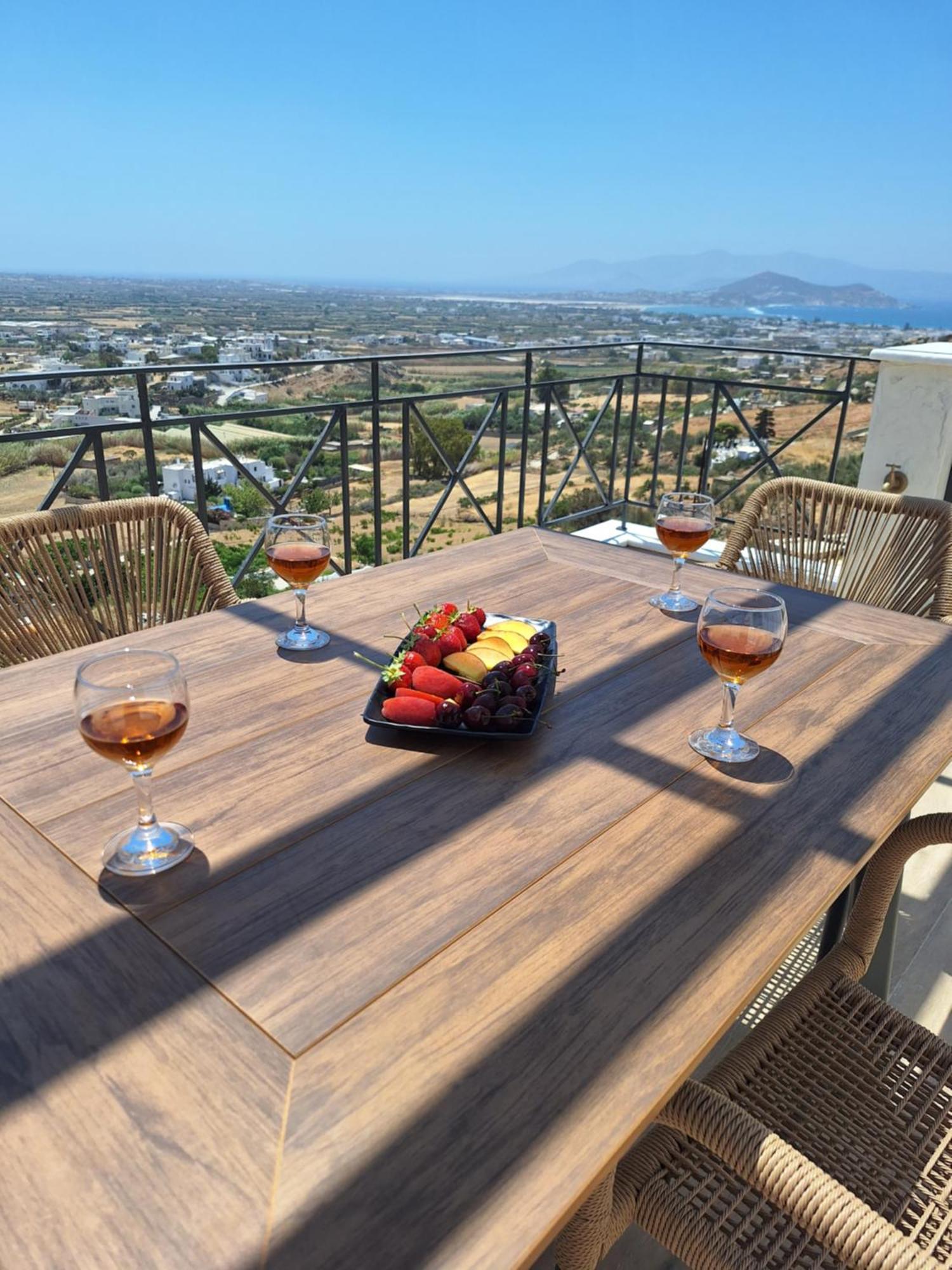 Alta Vista Apartment Agkidia